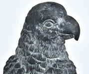 Ptak Rocca 