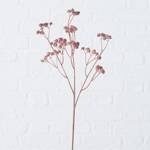 Kwiat Gypsophila 60 cm