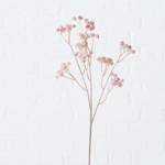 Kwiat Gypsophila 60 cm